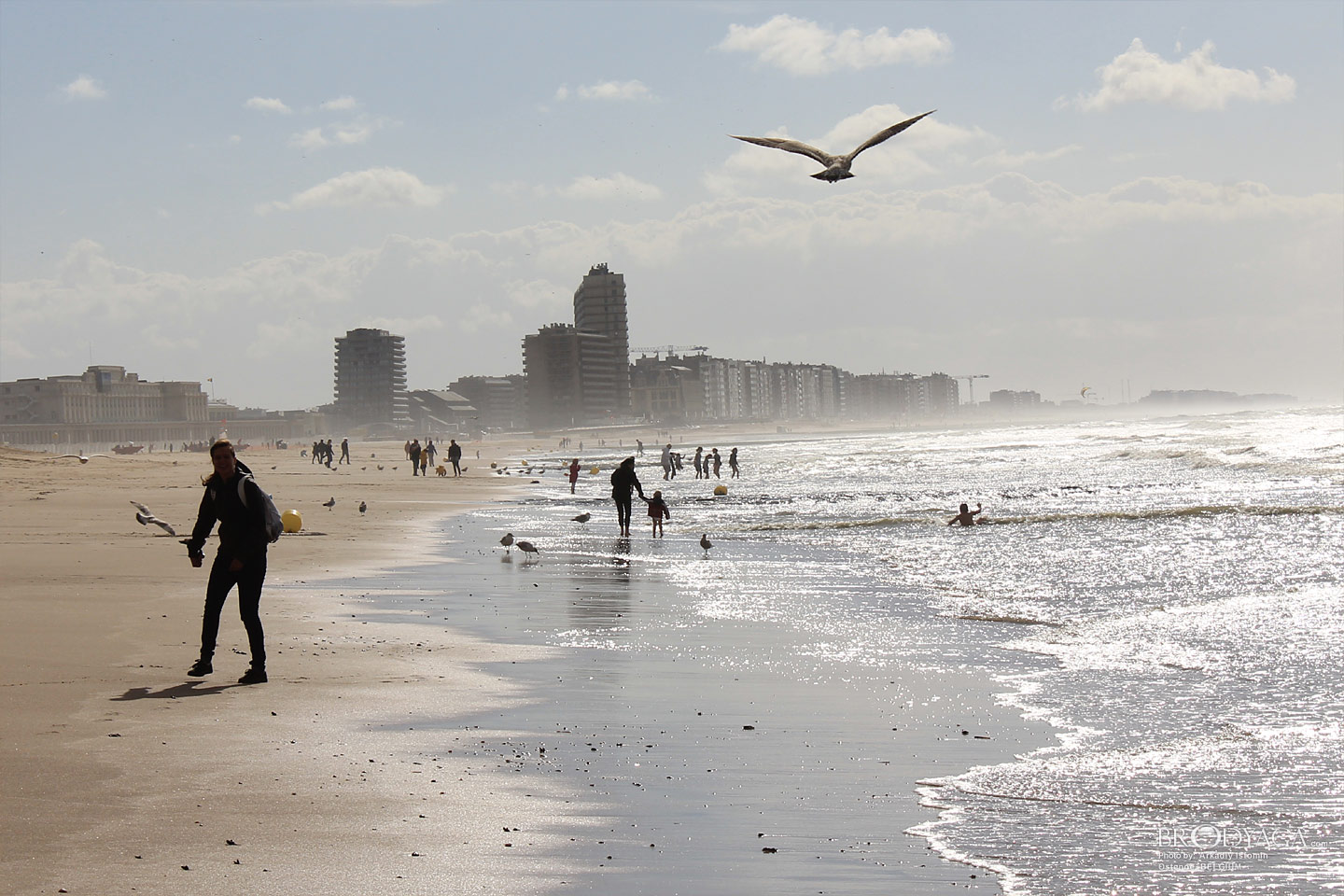 Ostende